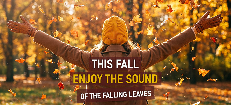 Fall Banner - Washington ENT